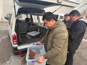 Timsoh bolasi Toshkent hayvonot bog‘iga  topshirildi