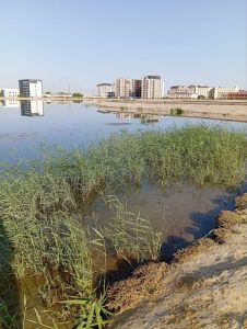 Navoi shahri – unutilgan goʻshamizga qaytish vaqti keldimi?