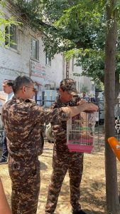 Toshkent bozorlarida Qizil kitobga kiritilgan ilonlarning noqonuniy savdosi aniqlandi
