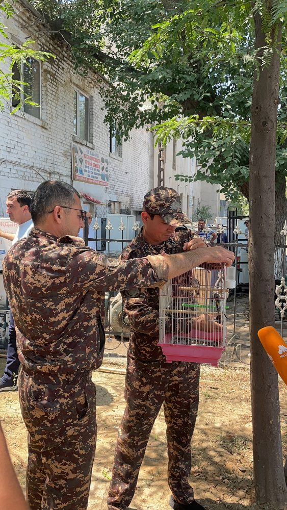 Toshkent bozorlarida Qizil kitobga kiritilgan ilonlarning noqonuniy savdosi aniqlandi