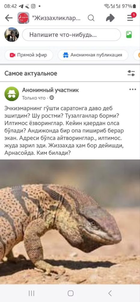 Bo‘z echkiemarning go‘shti saraton kasalligiga davo bo‘ladi